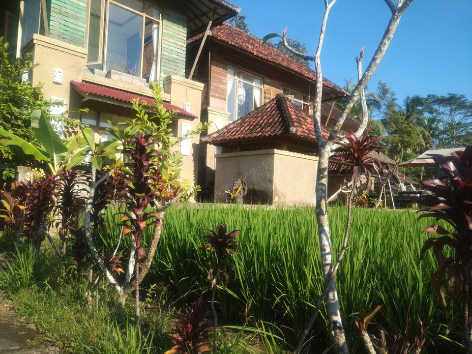 Eldflugeretreat