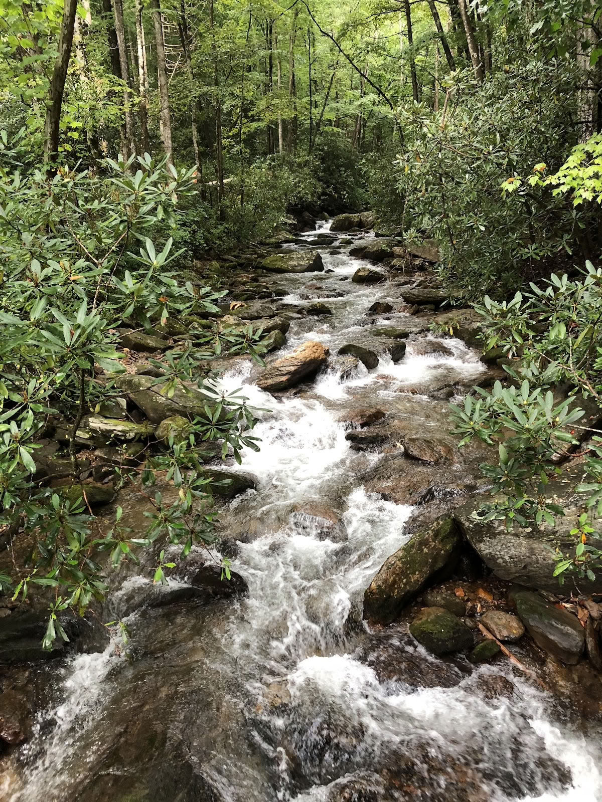 Indigo naturretreat