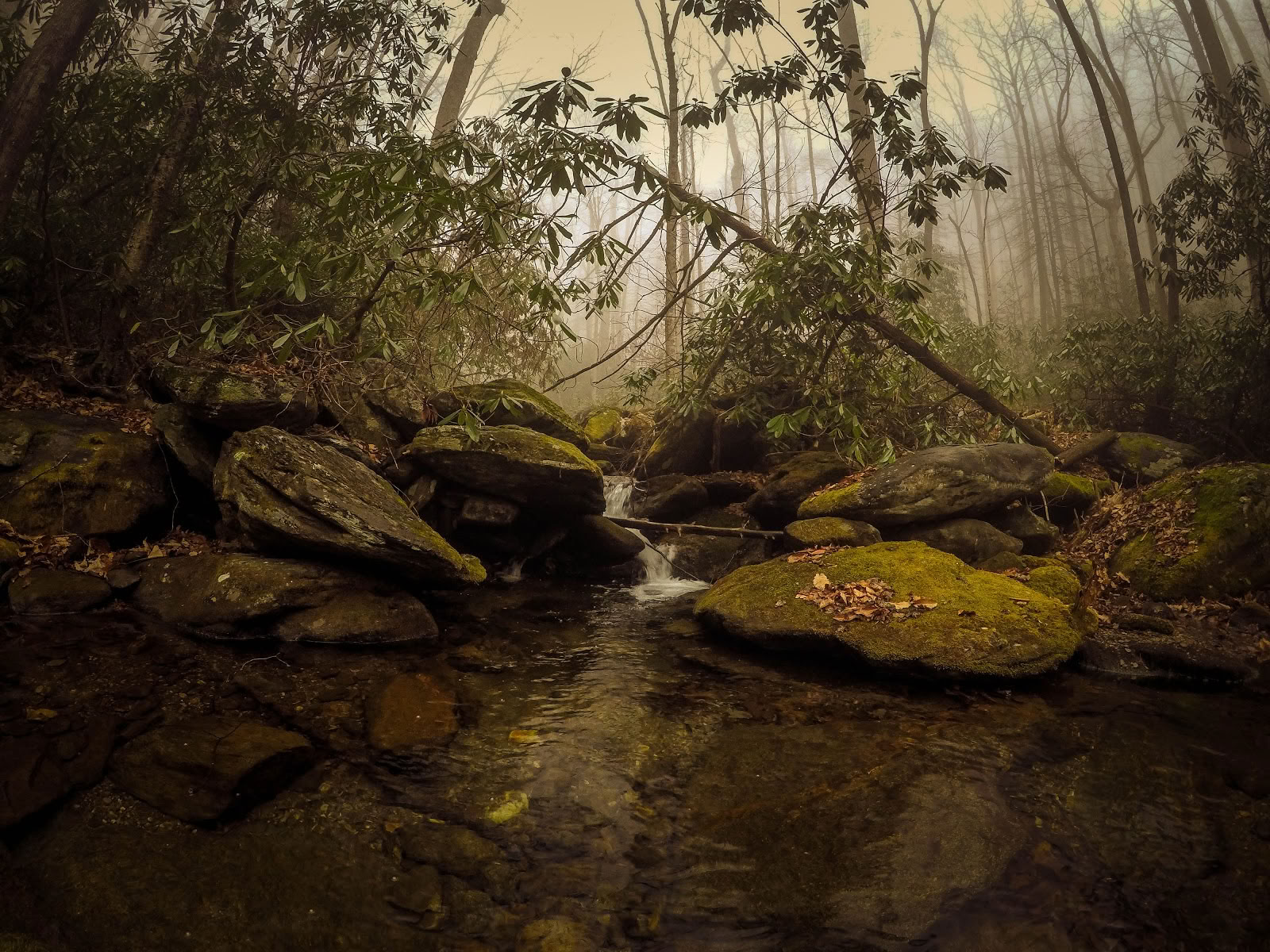 Indigo naturretreat