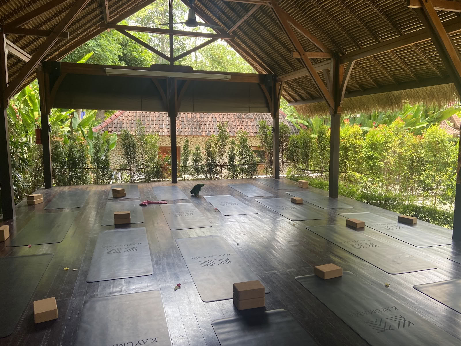 SoHA School of Healing Arts - yogalärarutbildningar