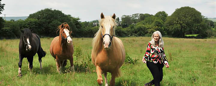 Epona Retreat Center