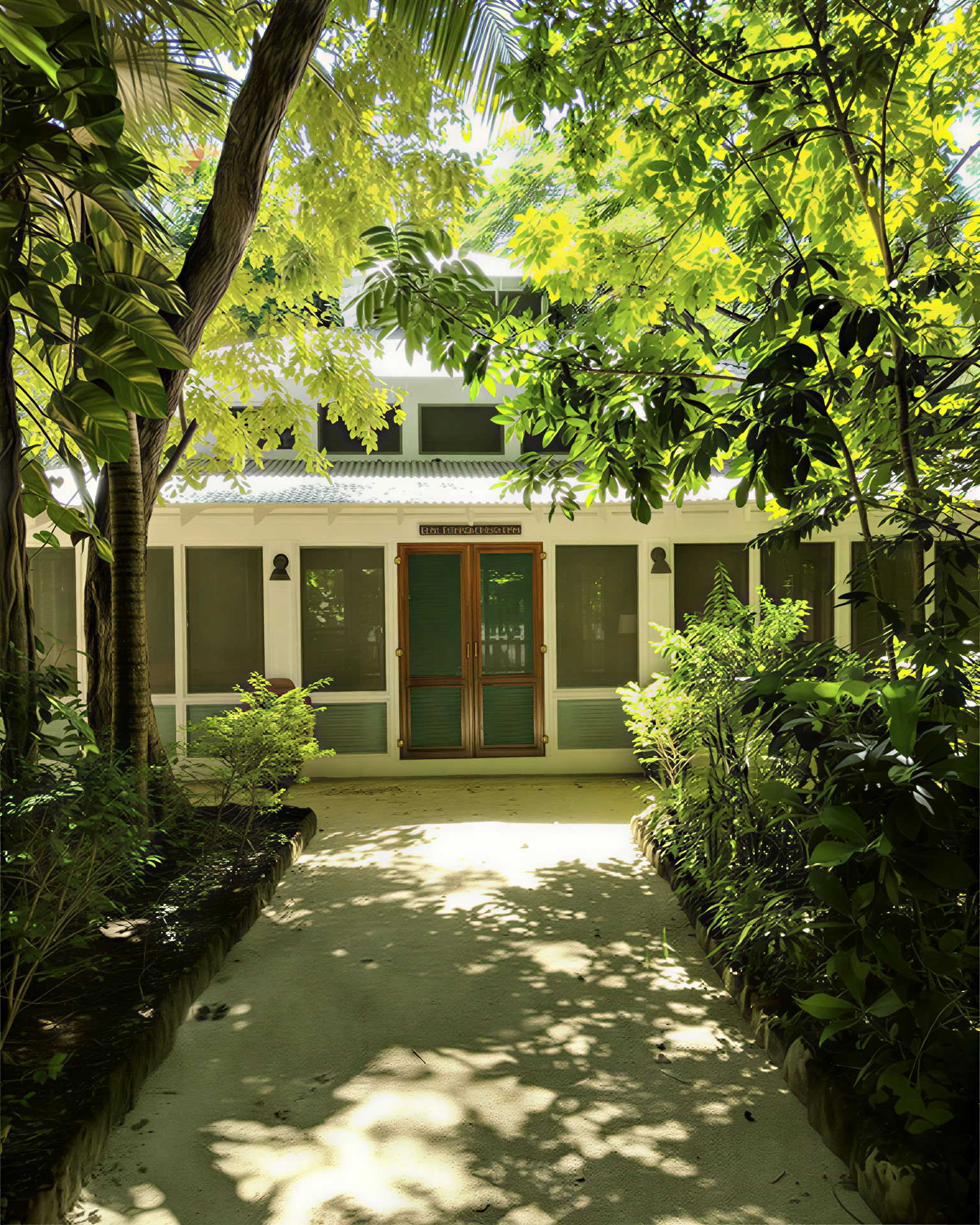 ONE Retreats | Psilocybin-svampretreater