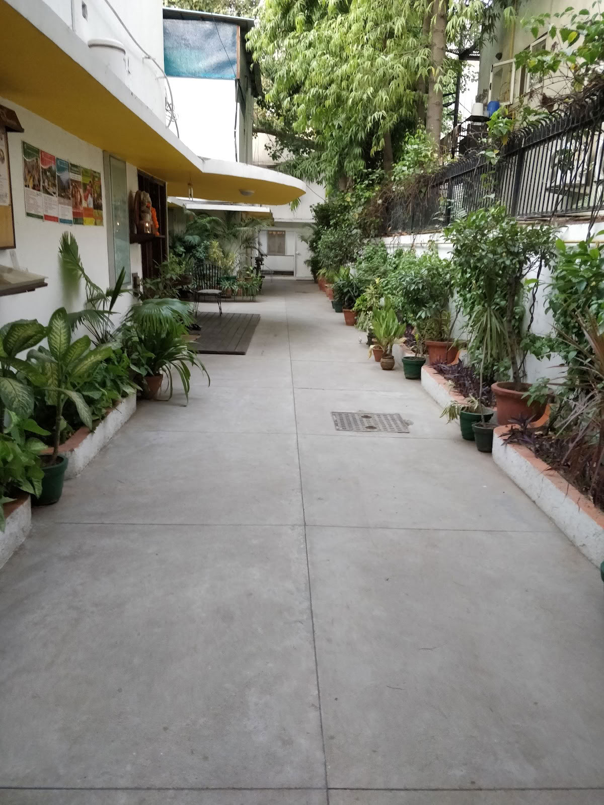 Sivananda-yoga, södra Delhi