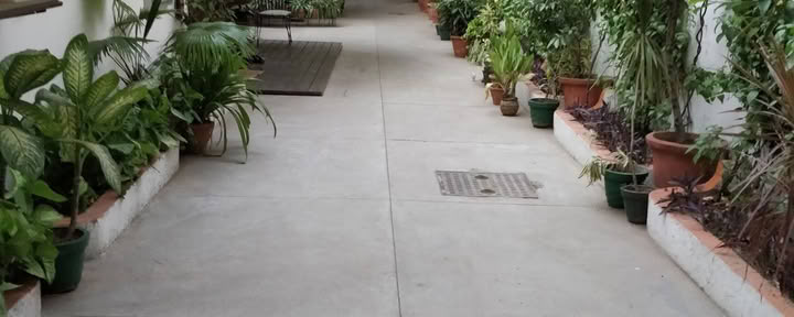 Sivananda-yoga, södra Delhi