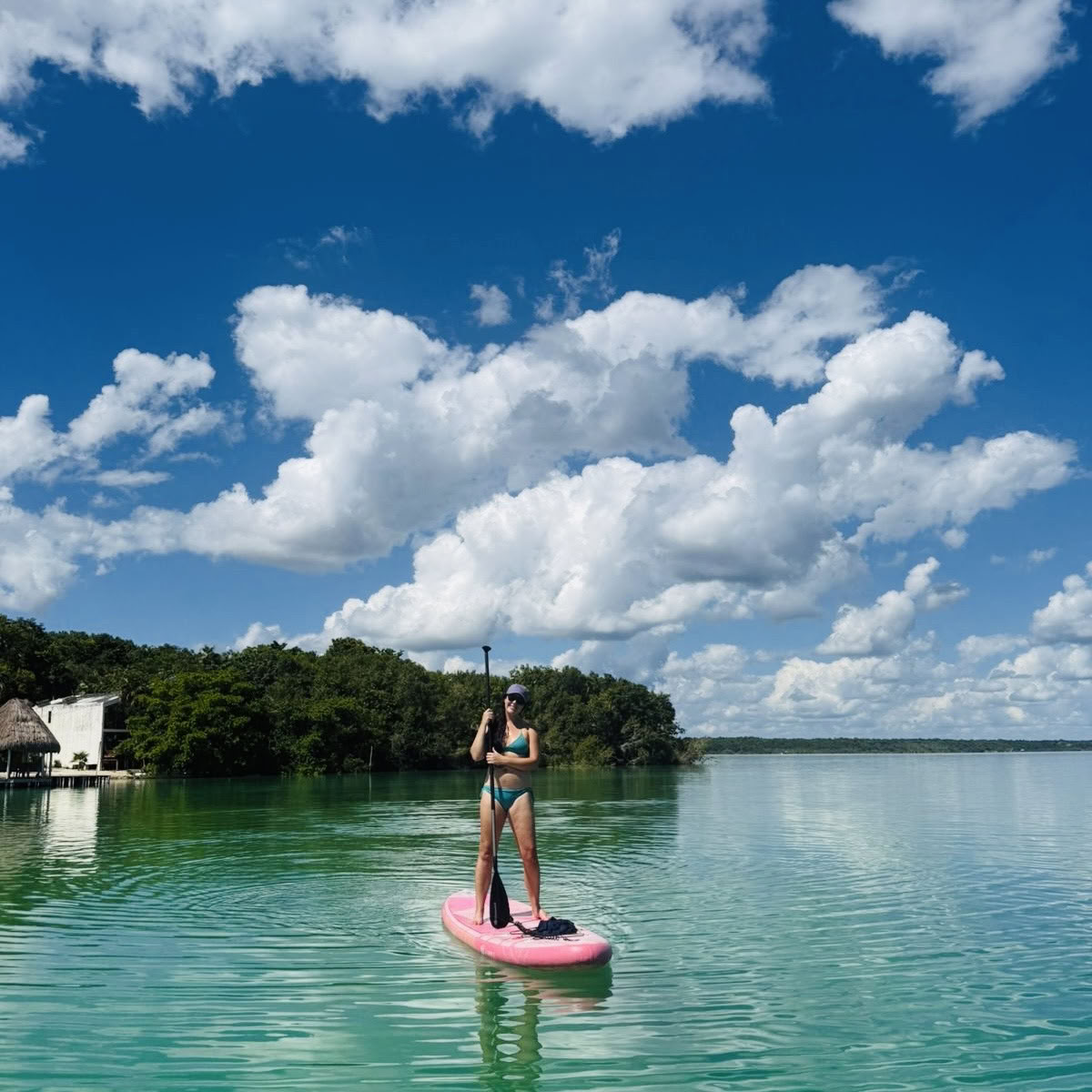 Vikara Wellness Retreats & Holistisk hälsa