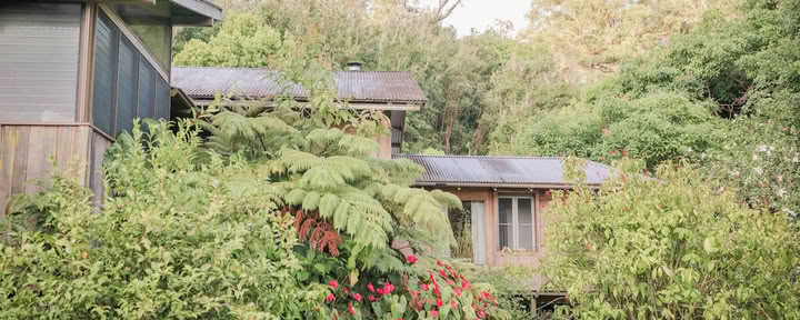 Hamakua Sanctuary