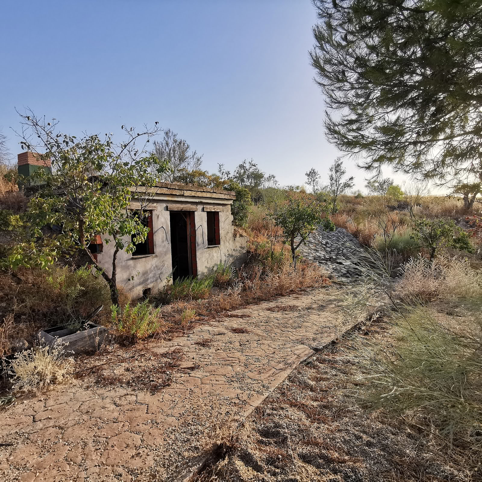 Qiterra Finca för retreater, utbildningar och workshops