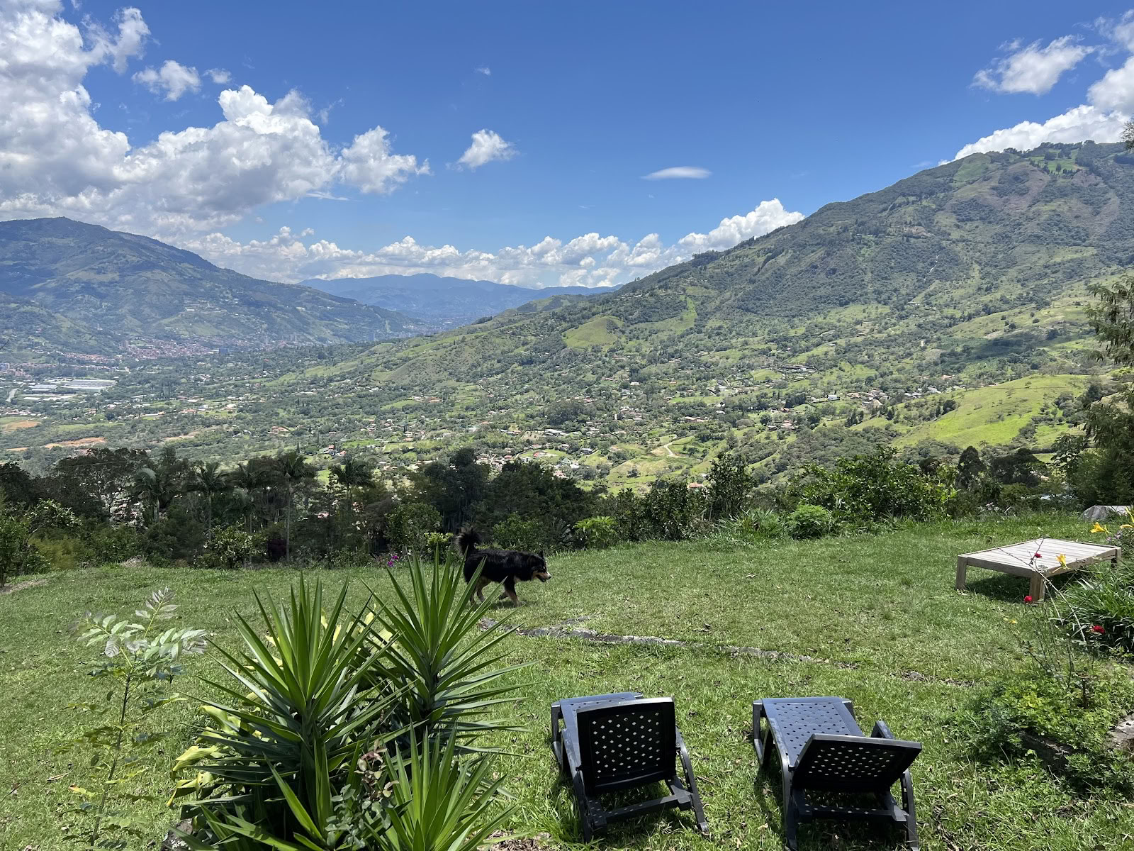 Harmonica Ayahuasca-retreat i Colombia (tidigare Guacamayo)
