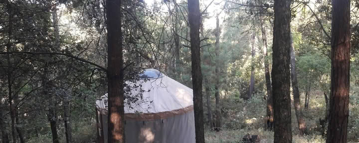 Vision Quest