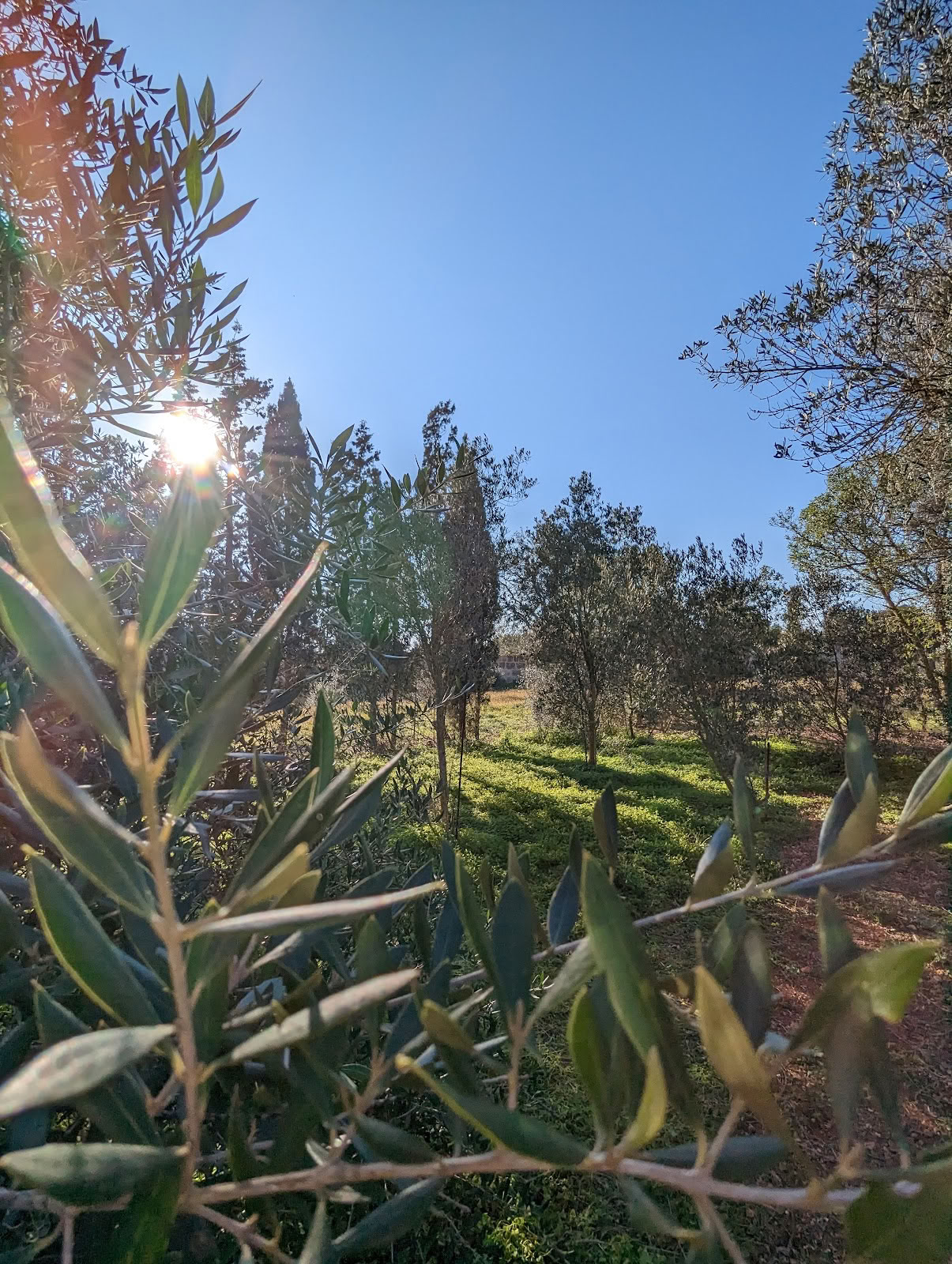 Själssköna retreater på Mallorca