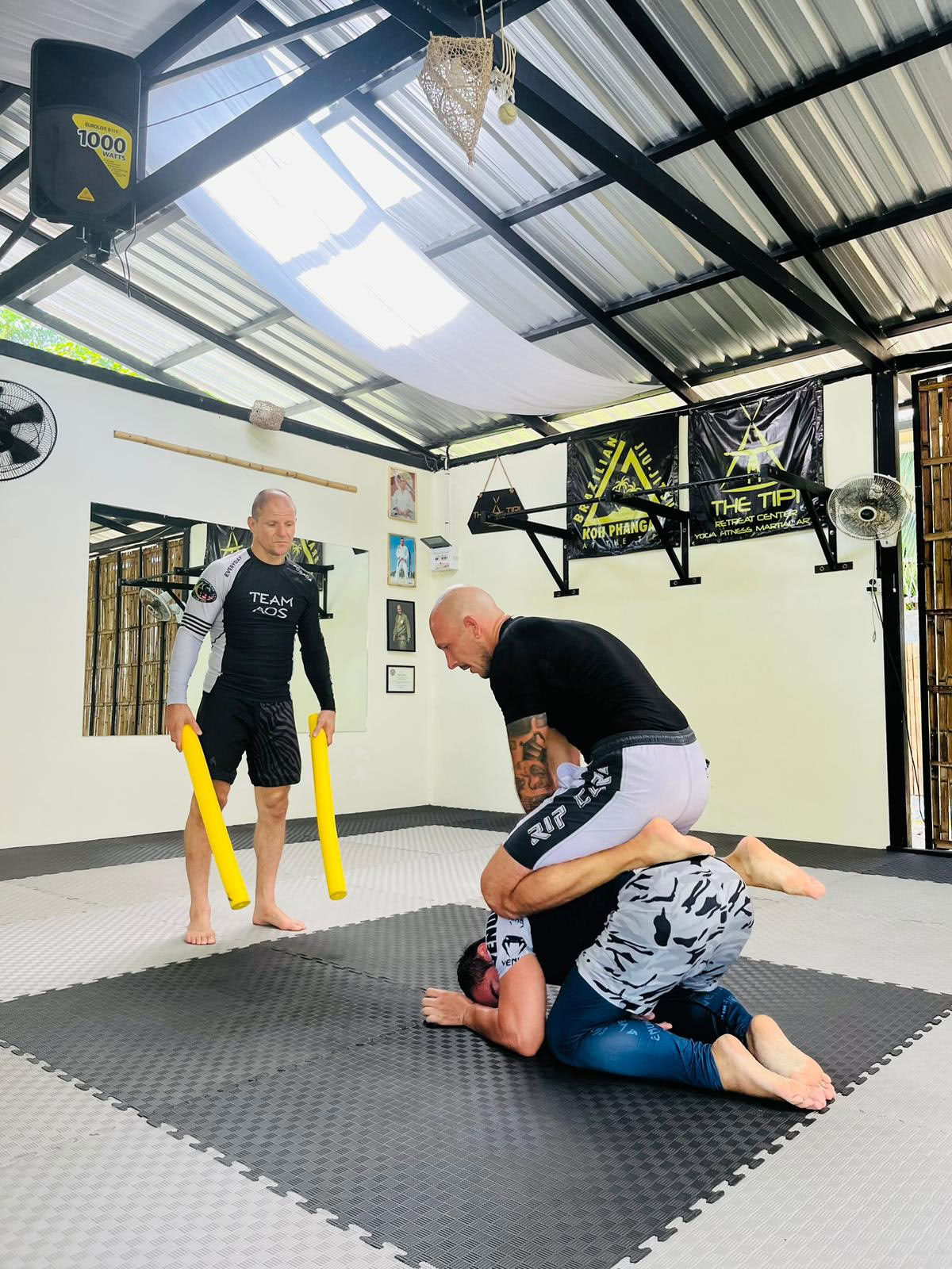 Tipin