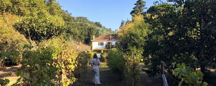 Shanti Space