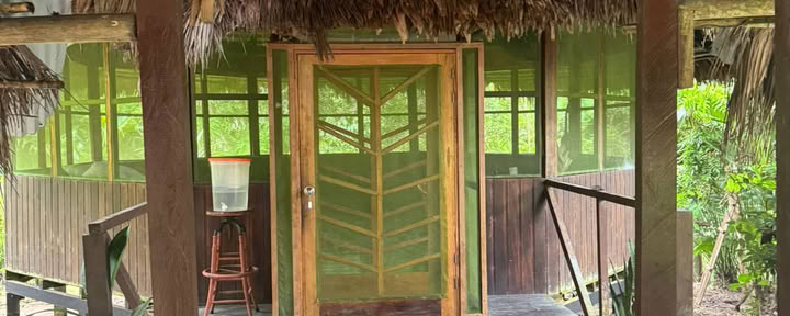 Lighthouse! Ayahuasca-retreat