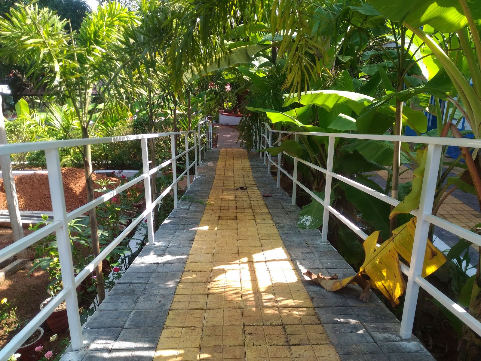 Prekshayoga