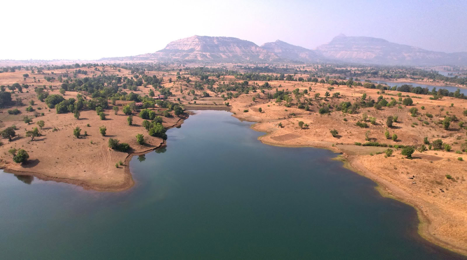 SiddhaDham - Gårdsboende & Wellnessretreat - Nashik / Igatpuri