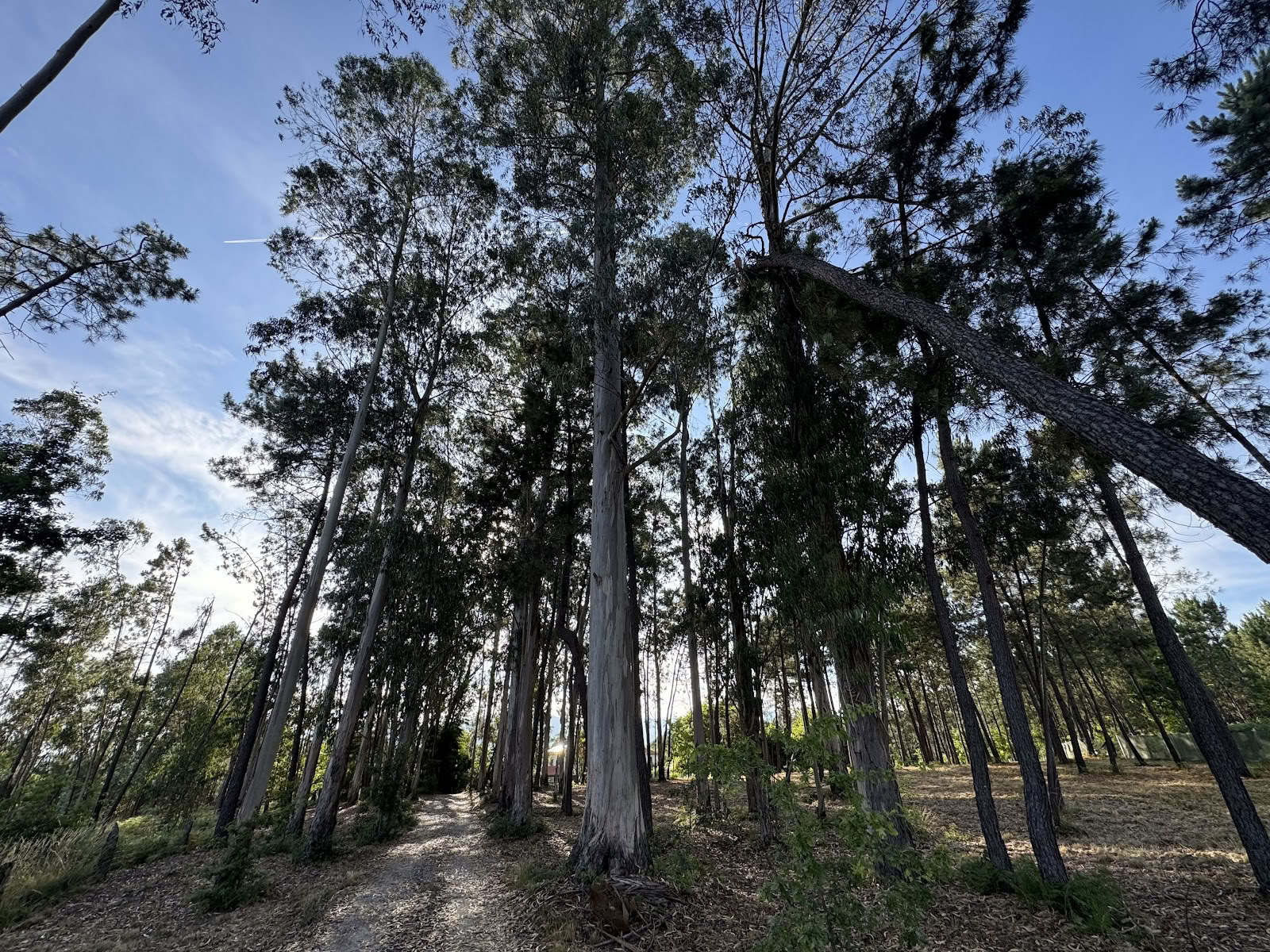 Catrinandes Retreatcenter