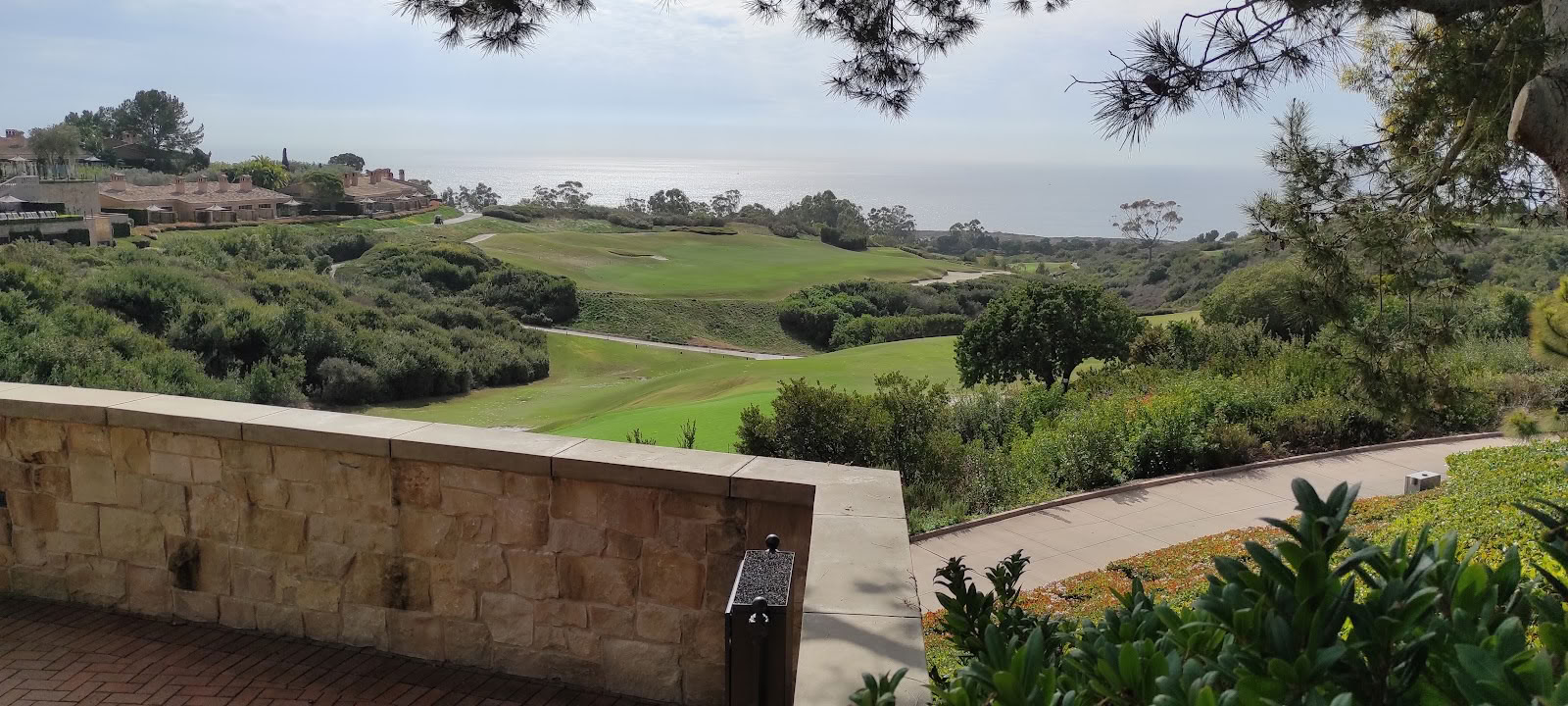 Spaet på Pelican Hill