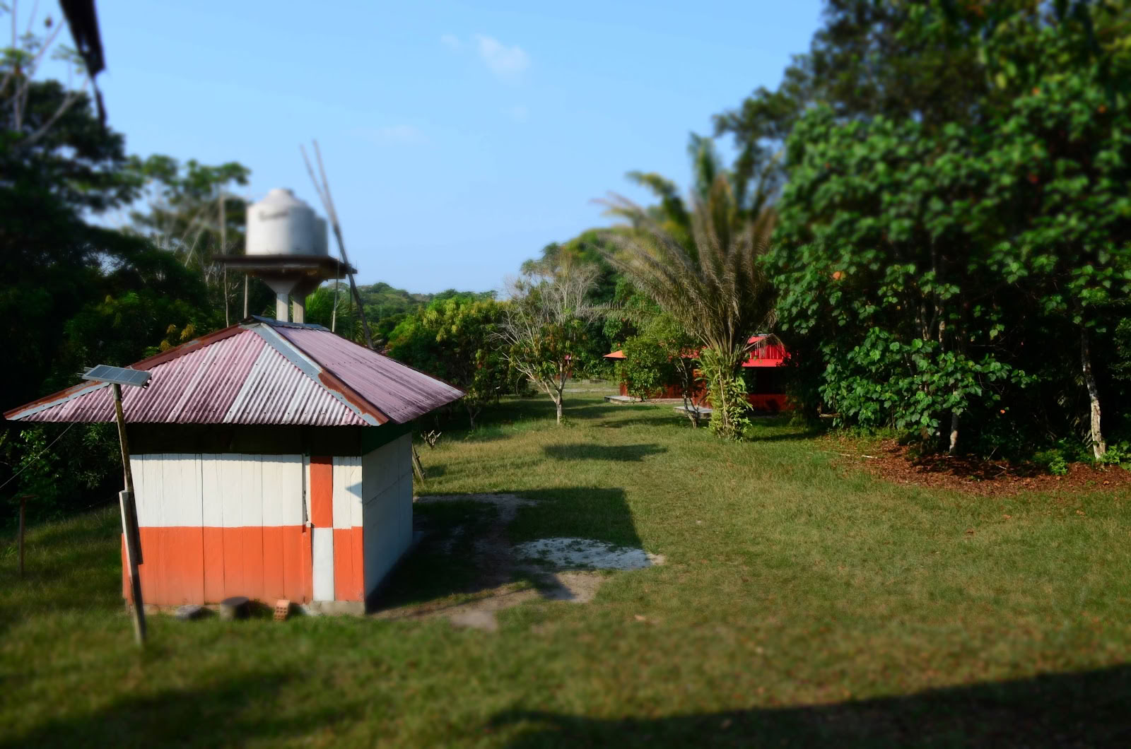 Officiellt Selva Madre Ayahuasca-retreat i Iquitos, Peru