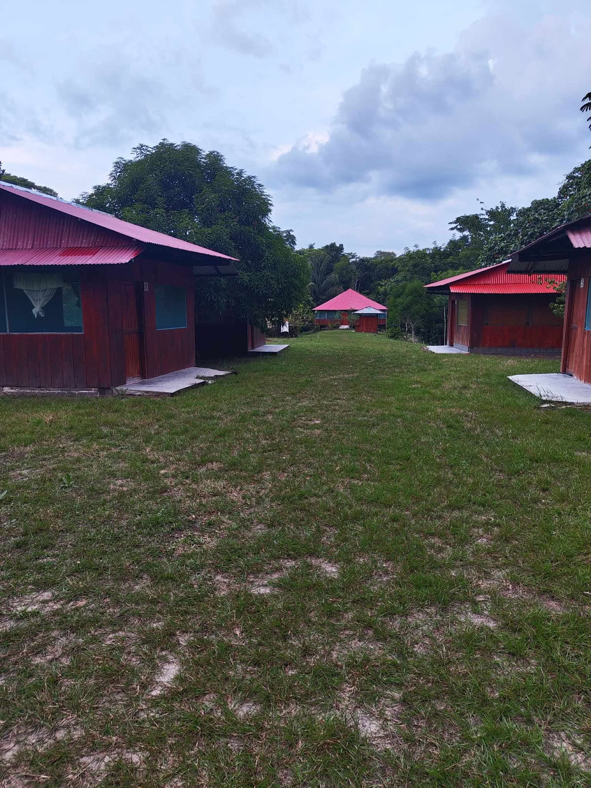 Officiellt Selva Madre Ayahuasca-retreat i Iquitos, Peru