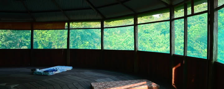 Officiellt Selva Madre Ayahuasca-retreat i Iquitos, Peru