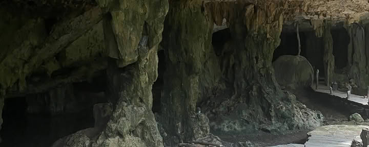 Jungelyoga Tulum