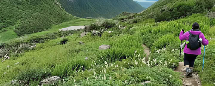 Transform Gros Morne Retreats