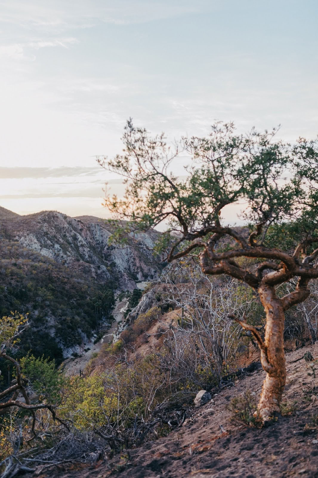 Eterisk | Baja California Sur