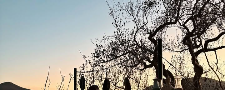 Eterisk | Baja California Sur
