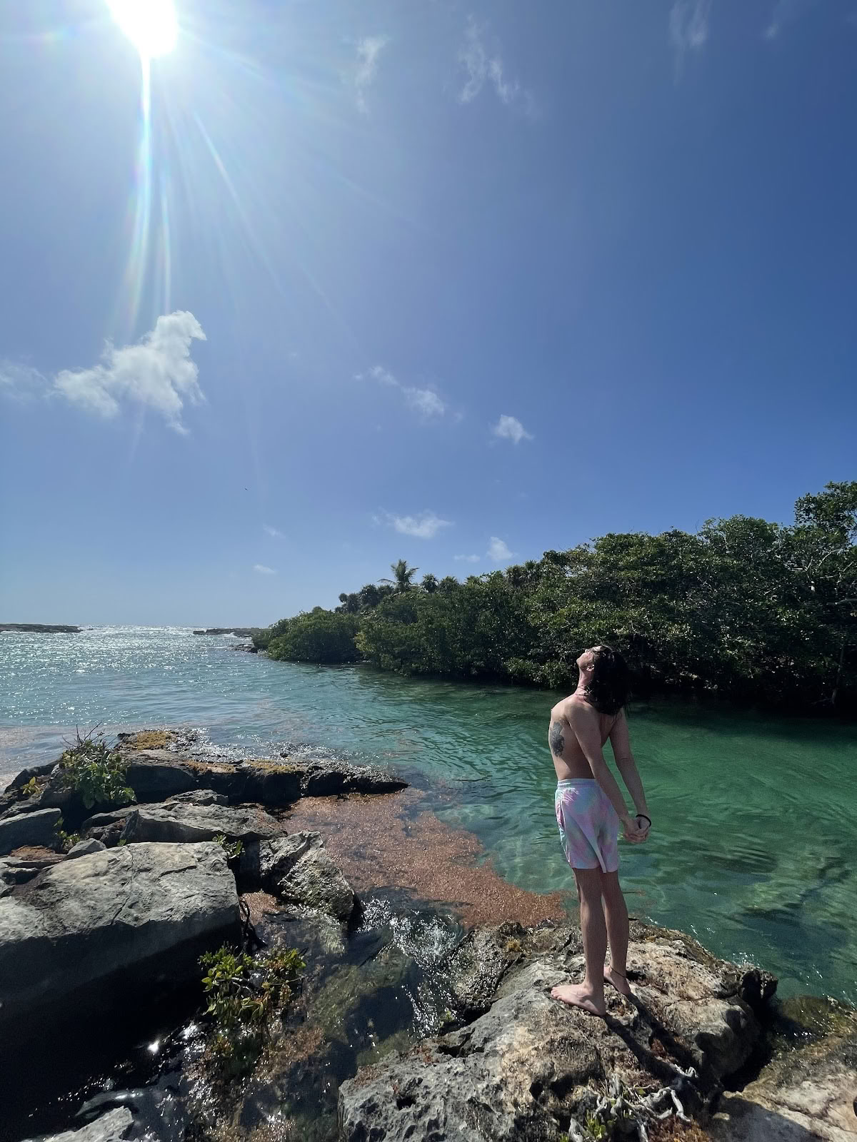 Mi Vida Yoga-retreater Tulum (kontor)