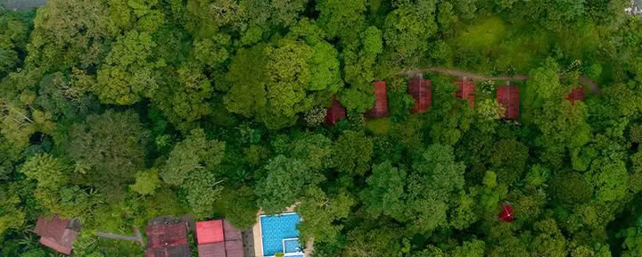 Mahadevi Ayahuasca-retreat i Colombia