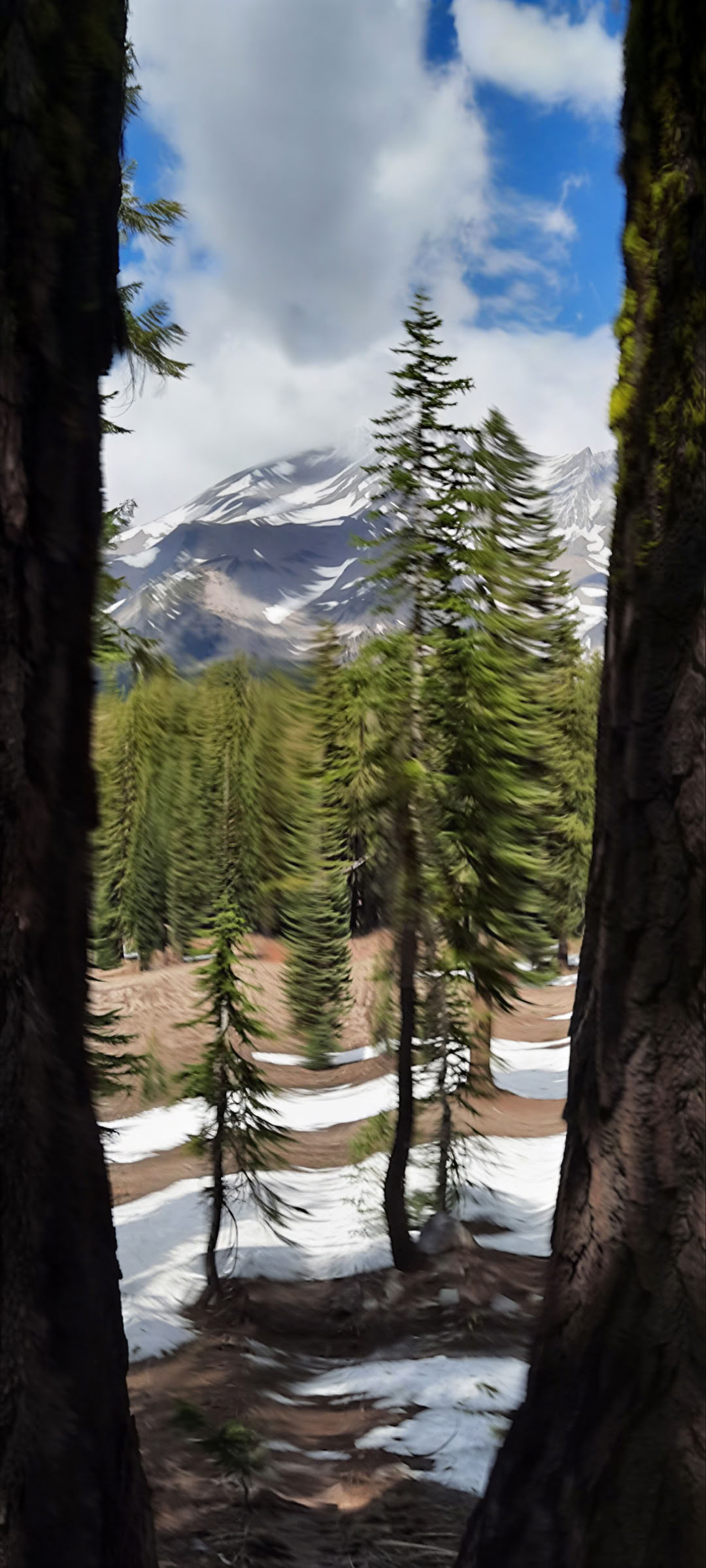Shasta Vortexäventyr