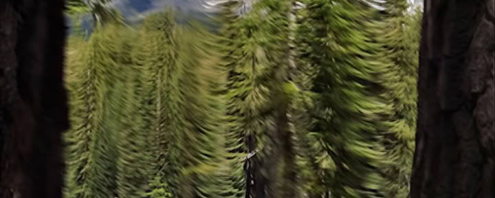 Shasta Vortexäventyr