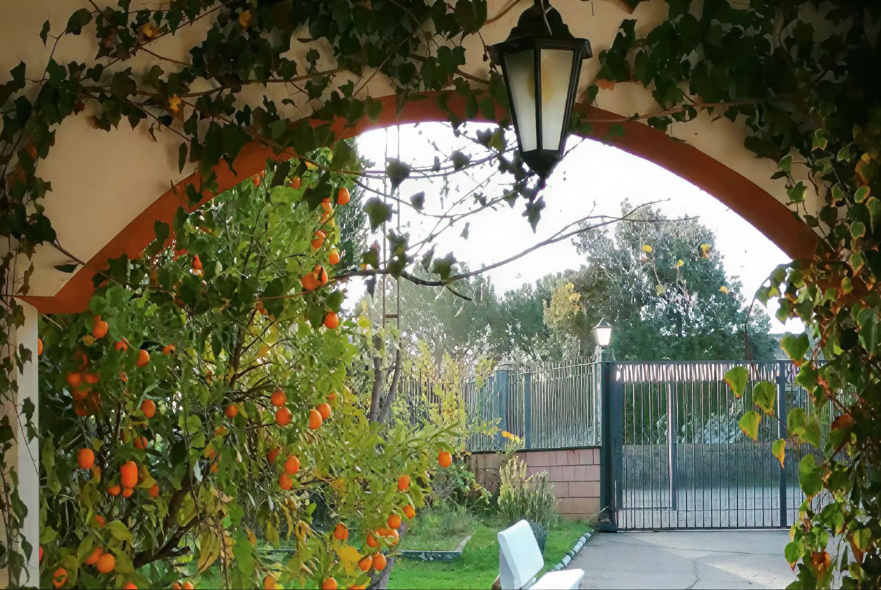 Casa Colibrí (holistisk hälsa)