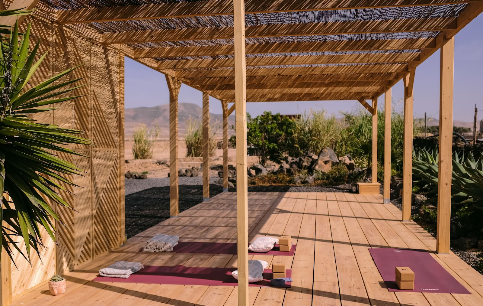 Surf- och yoga-retreats på Fuerteventura
