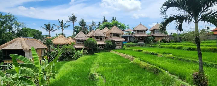 Yogautbildning på Bali – Yogaens nyanser