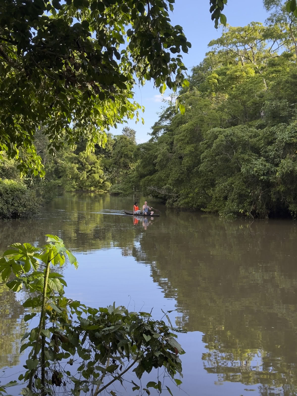 Amazonas måne