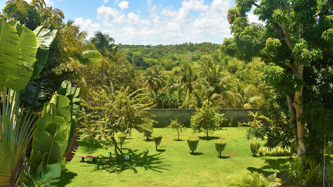Ayahuasca-retreat i Brasilien