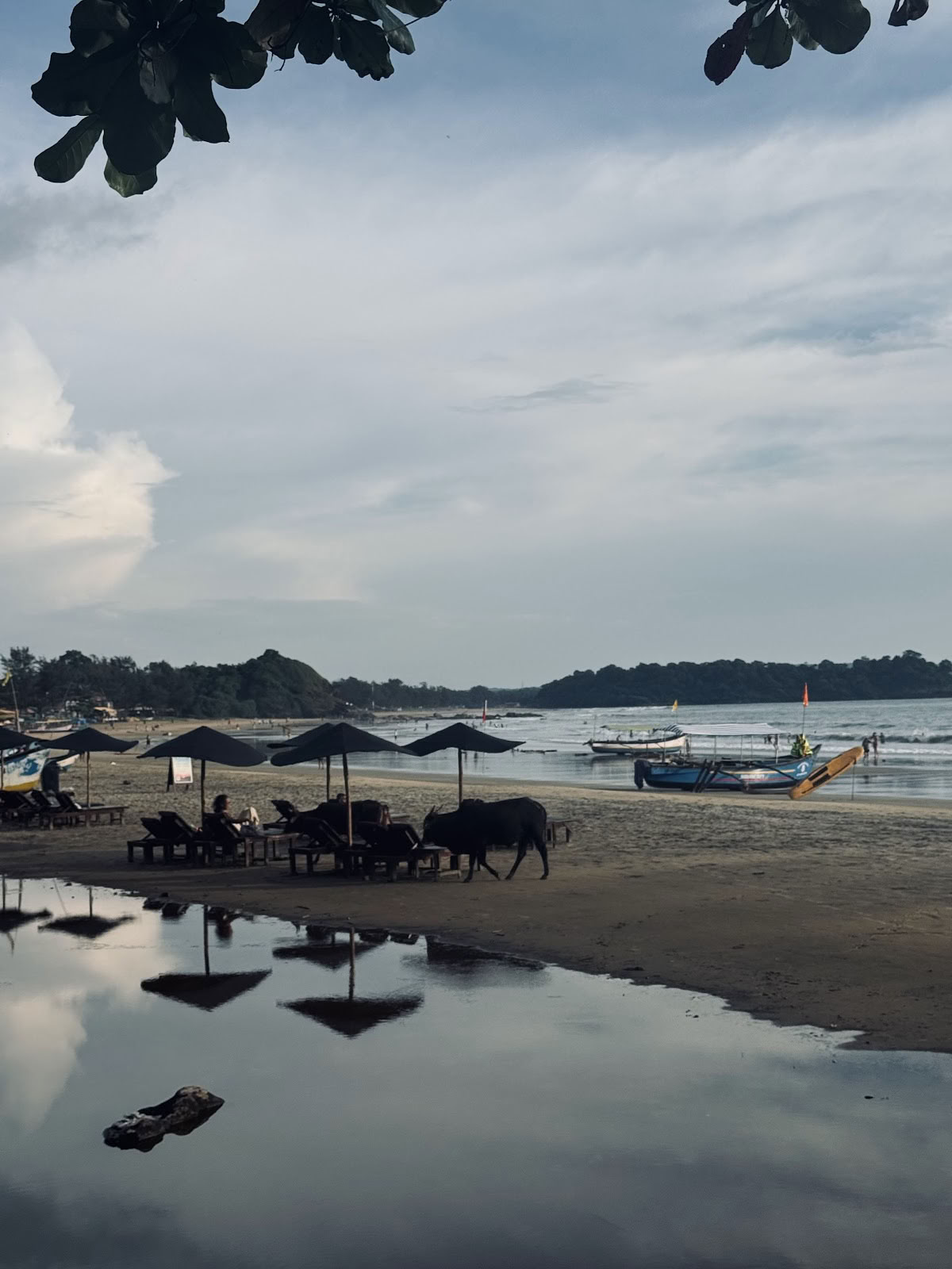 Ayurveda- och yogaretreat för bröder
