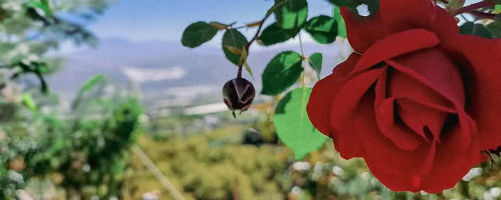 Finca Putumayo