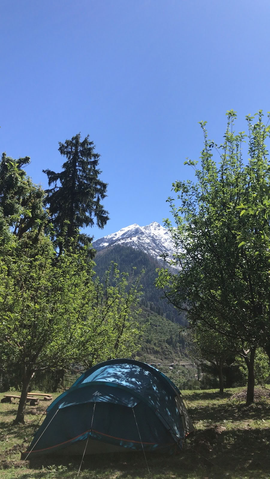 Ameya Himalayiske yogis