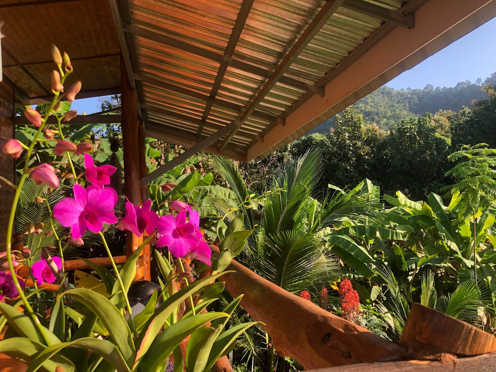 True Nature Chiang Mai - Yoga- och meditationsretreat med hembesök