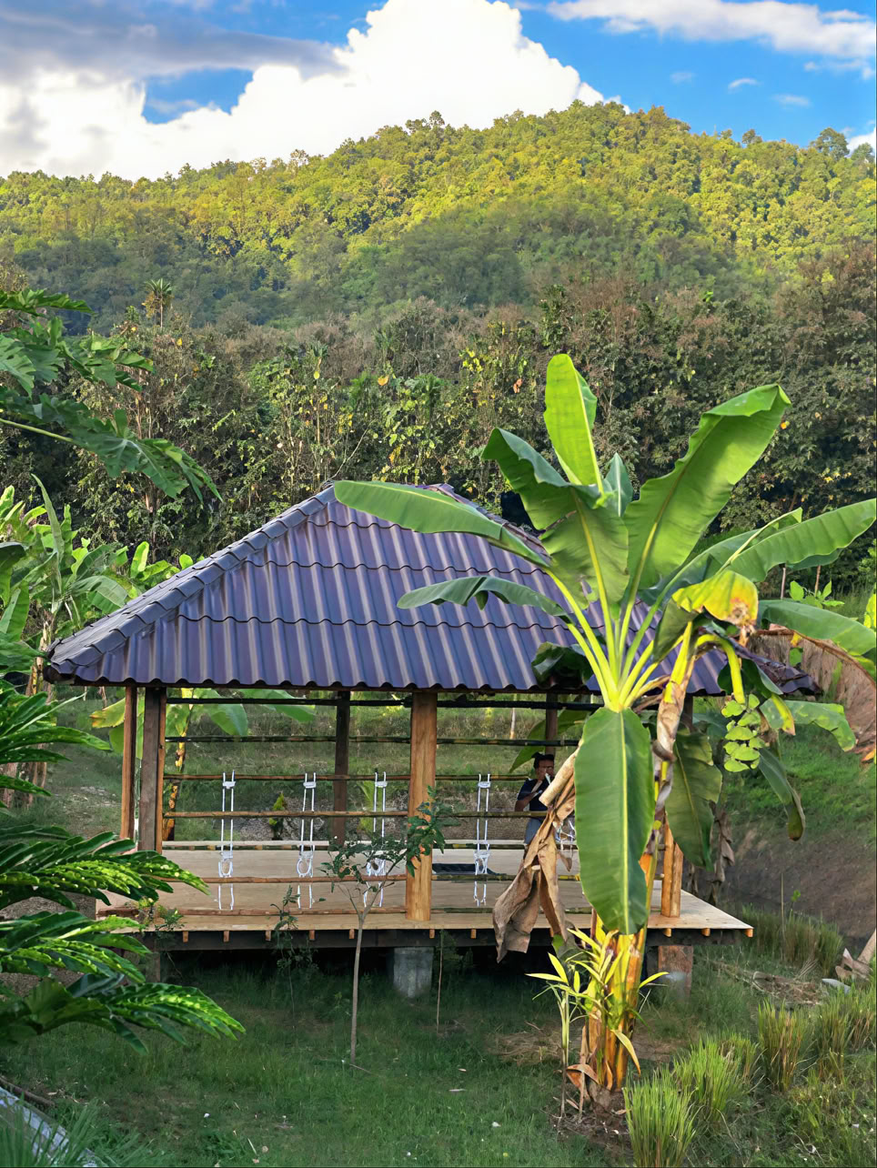 True Nature Chiang Mai - Yoga- och meditationsretreat med hembesök