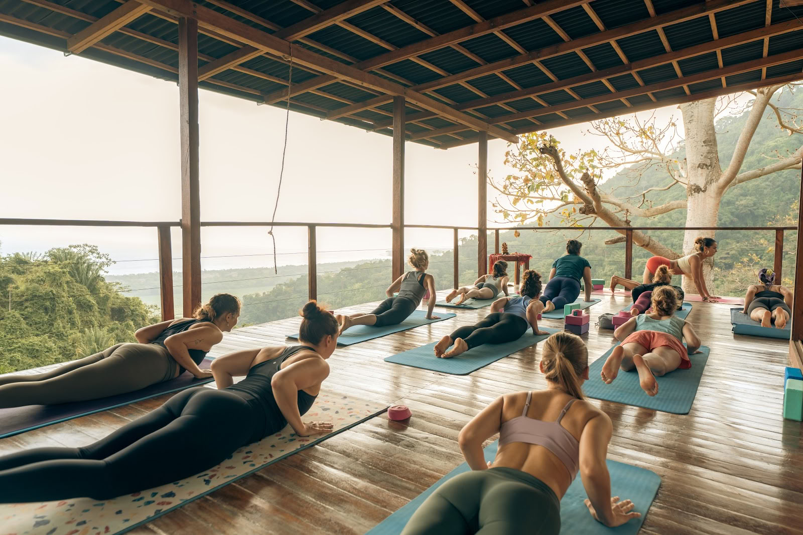Ahimsa Yogaskola