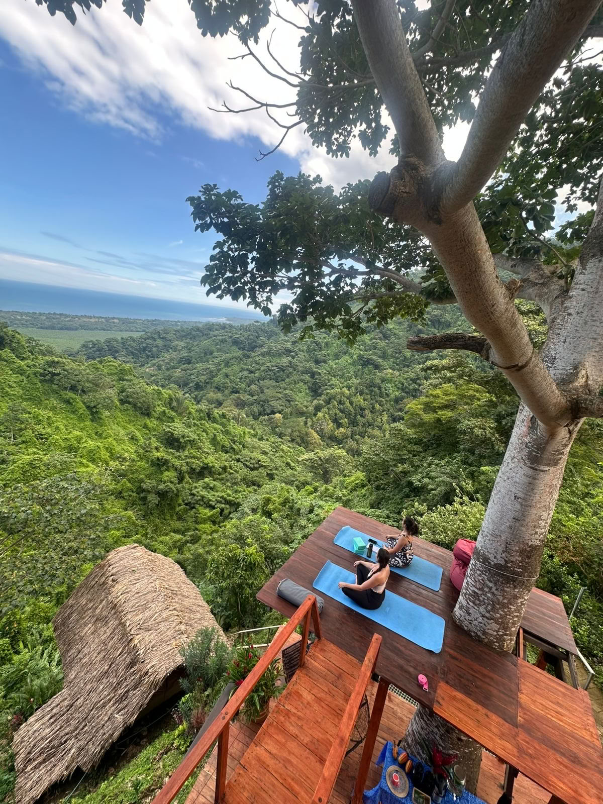 Ahimsa Yogaskola