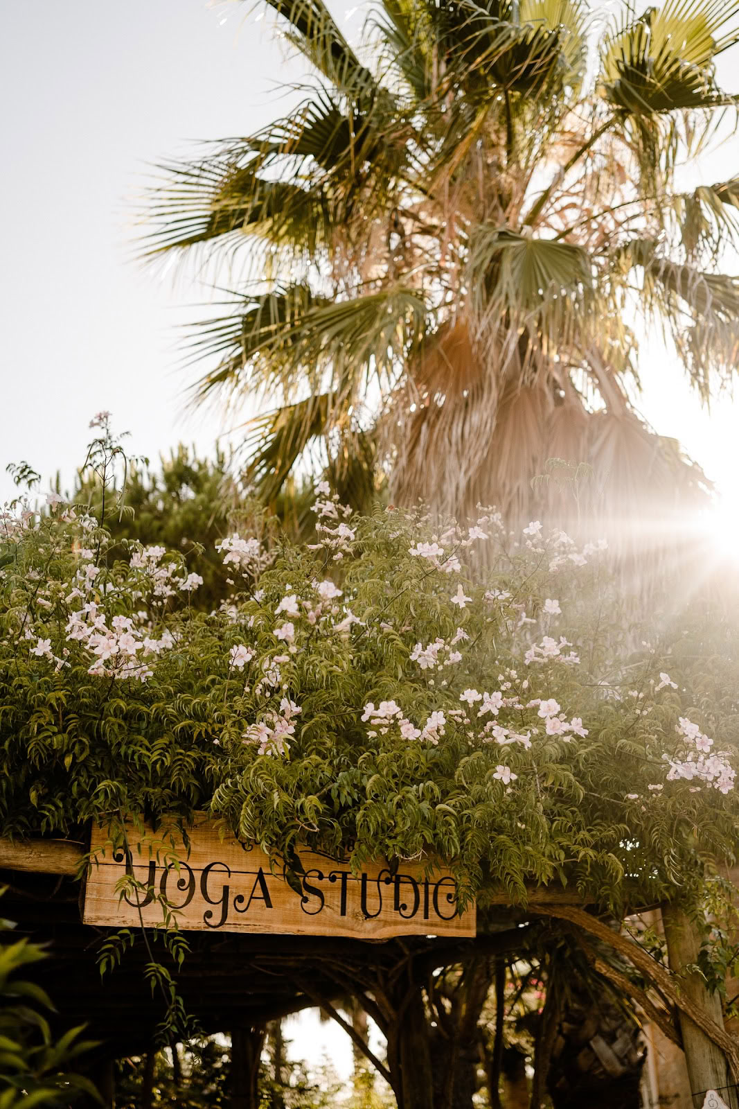 Transformera till lycka Yoga, event- och välmåenderum - Lagos, Algarve