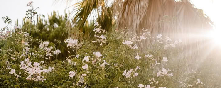Transformera till lycka Yoga, event- och välmåenderum - Lagos, Algarve