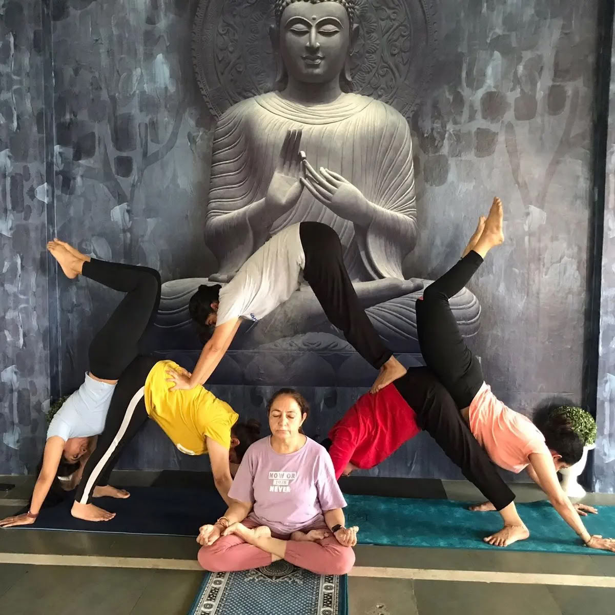 Solskensyoga / Bästa yogaklasserna i Amritsar / Yogaklasser i Amritsar / Yoga i Amritsar