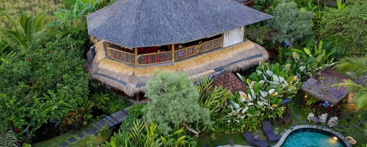 Dragonfly Village