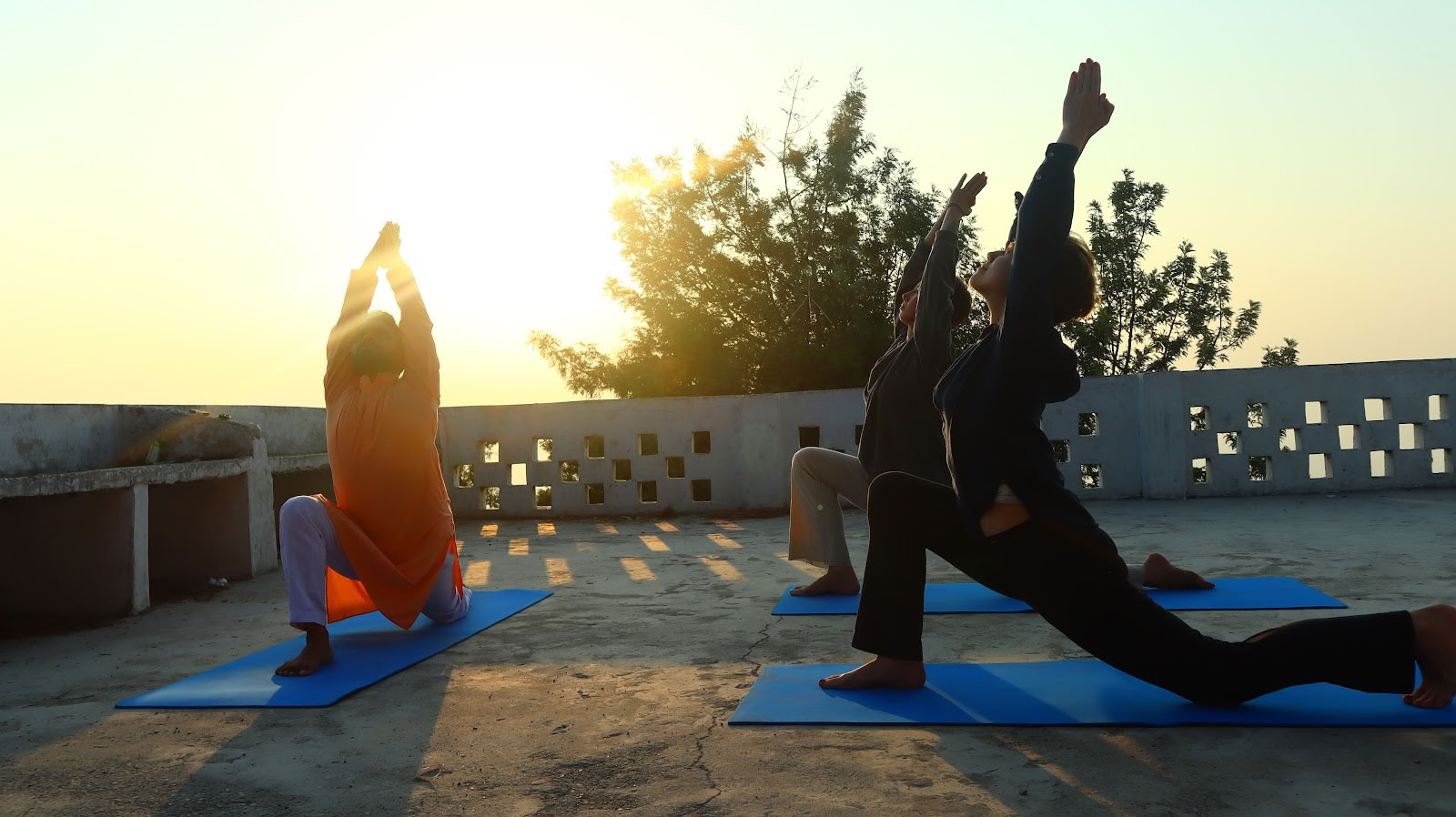 Yogaessensen: meditationslärarutbildning ashram