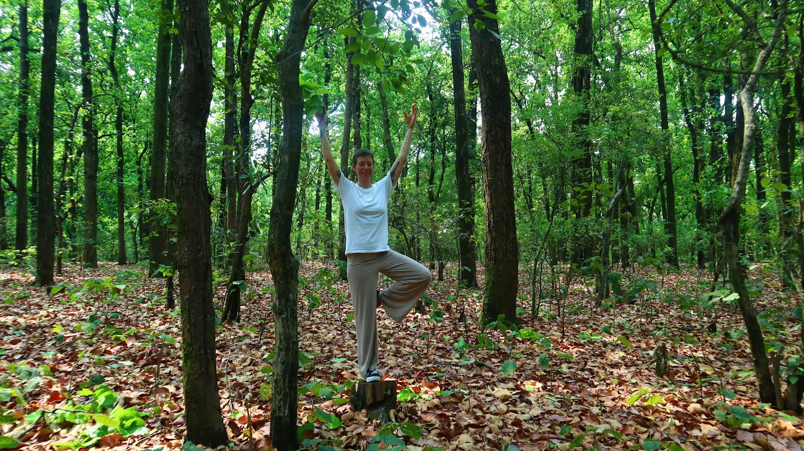 Yogaessensen: meditationslärarutbildning ashram